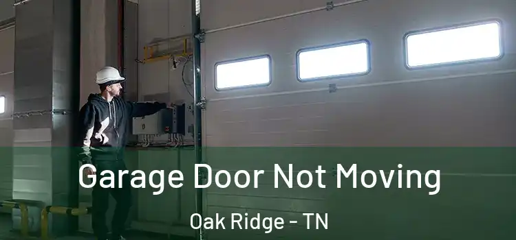  Garage Door Not Moving Oak Ridge - TN